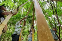 【現地体験】【2025年7月・8月】ペリペリと木の皮をはぐ、不思議な皮むき間伐と大自然で森林ヨガを体験しよう＜三ツ矢青空たすき×ABURAYAMA FUKUOKA＞